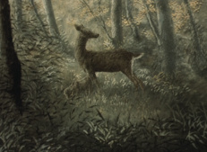 Chuumon no Ooi Ryouriten (1993)